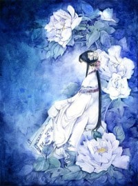 《狂婿归来》